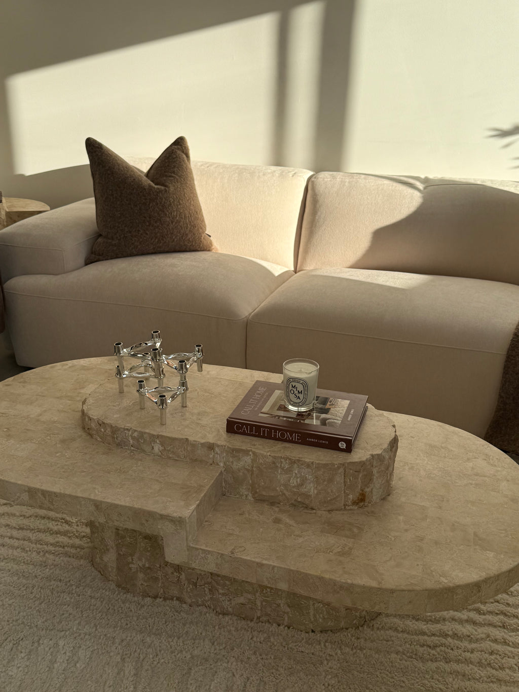 Chestnut cushion